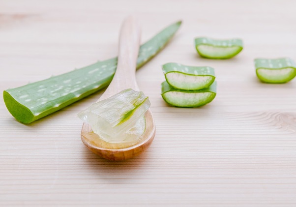 utilisation Aloe vera