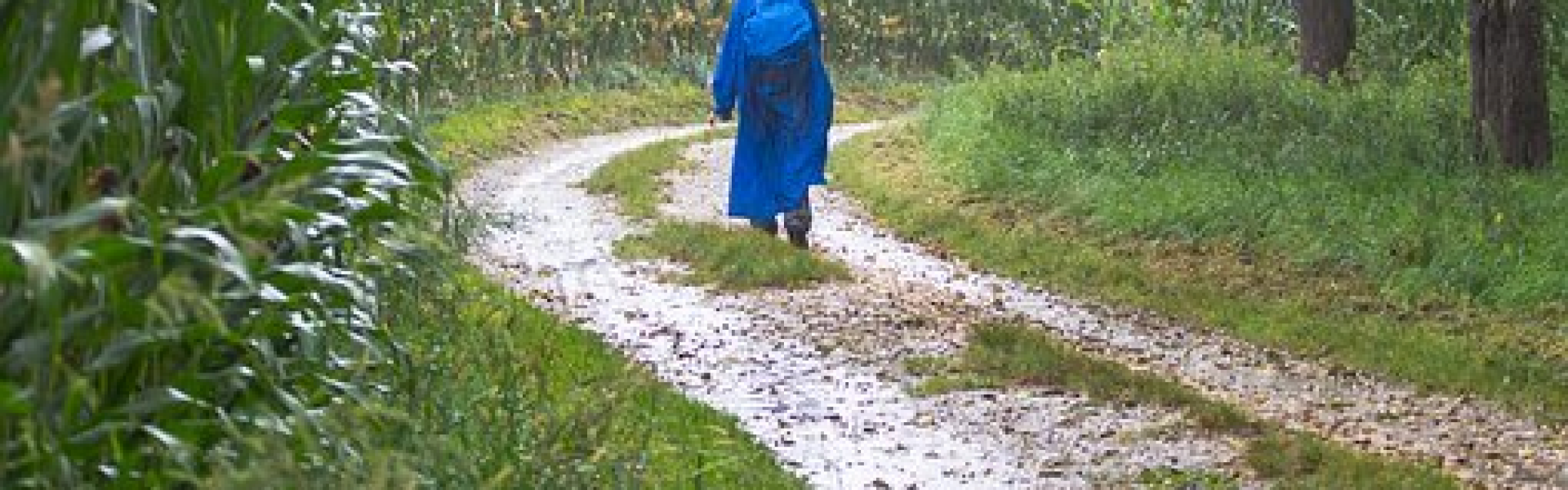 randonne sous la pluie.jpg